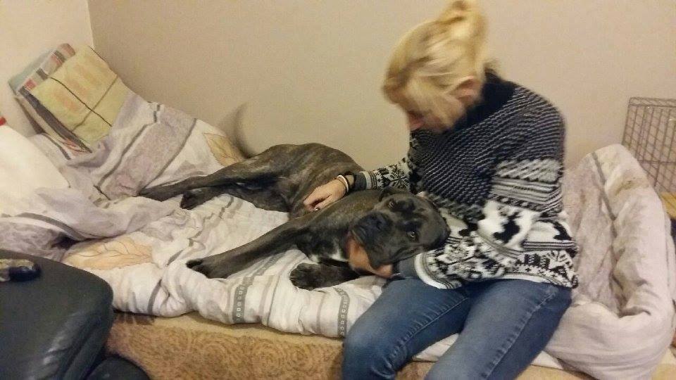 Ayra - cudowny psiak szuka swojego miejsca na ziemii